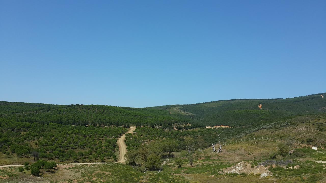 Termal Park Otel Armutlu Dış mekan fotoğraf